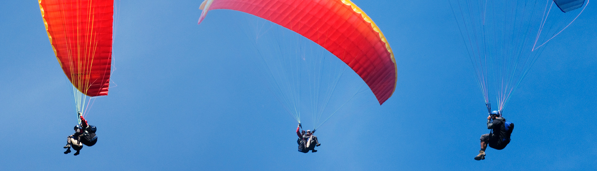 Parapente martinique