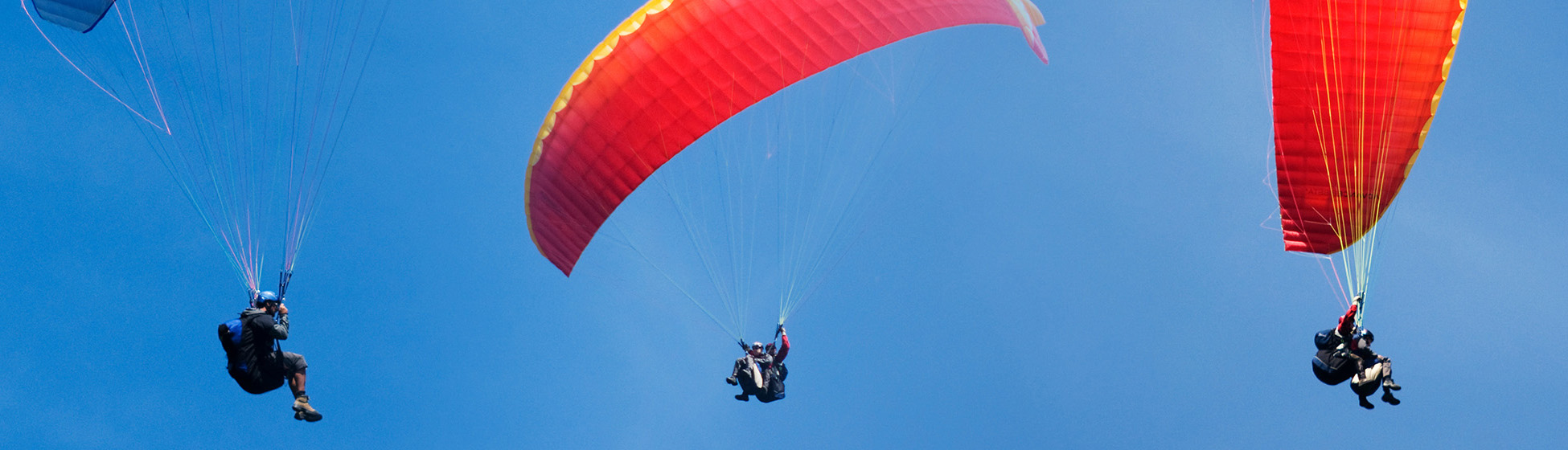 Parapente martinique