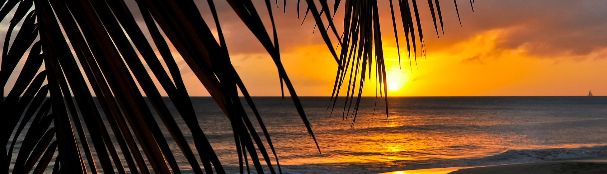 Soiree chaude martinique