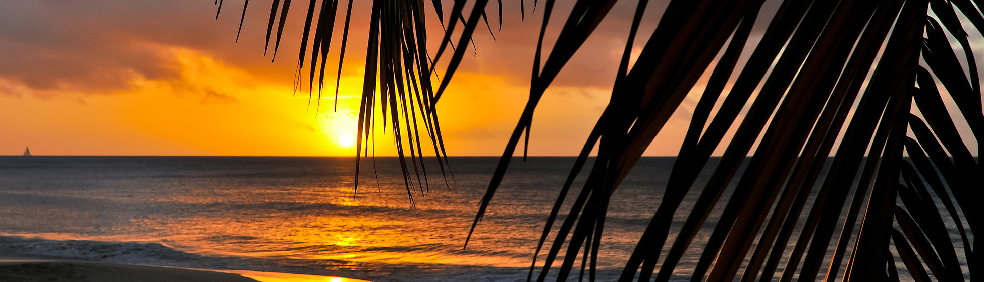 Soirée boite de nuit martinique