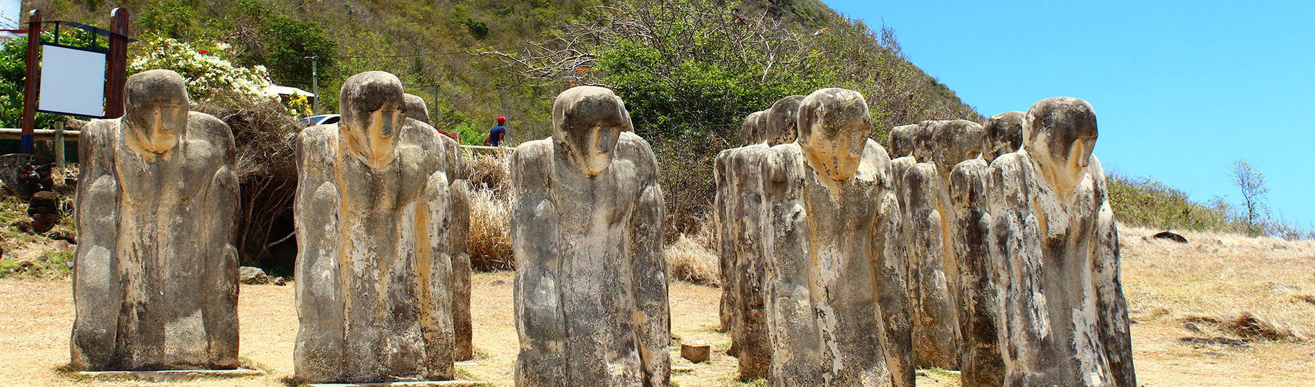 Culture martinique Le Marin (97290)