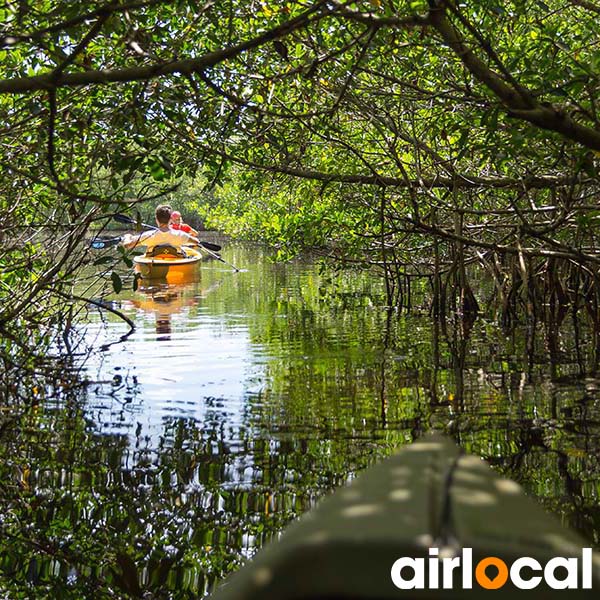 Activité bateau martinique