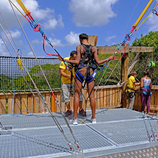 Activité martinique sud