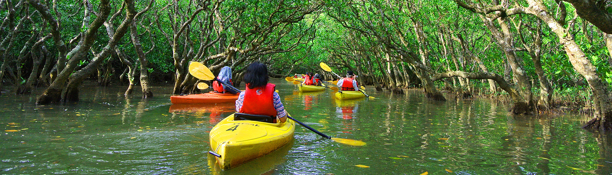 Prix location bateau martinique