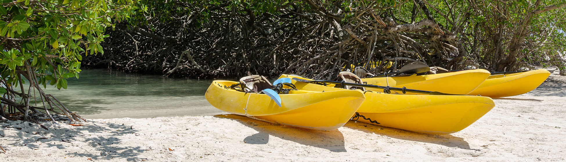 Balade en bateau martinique