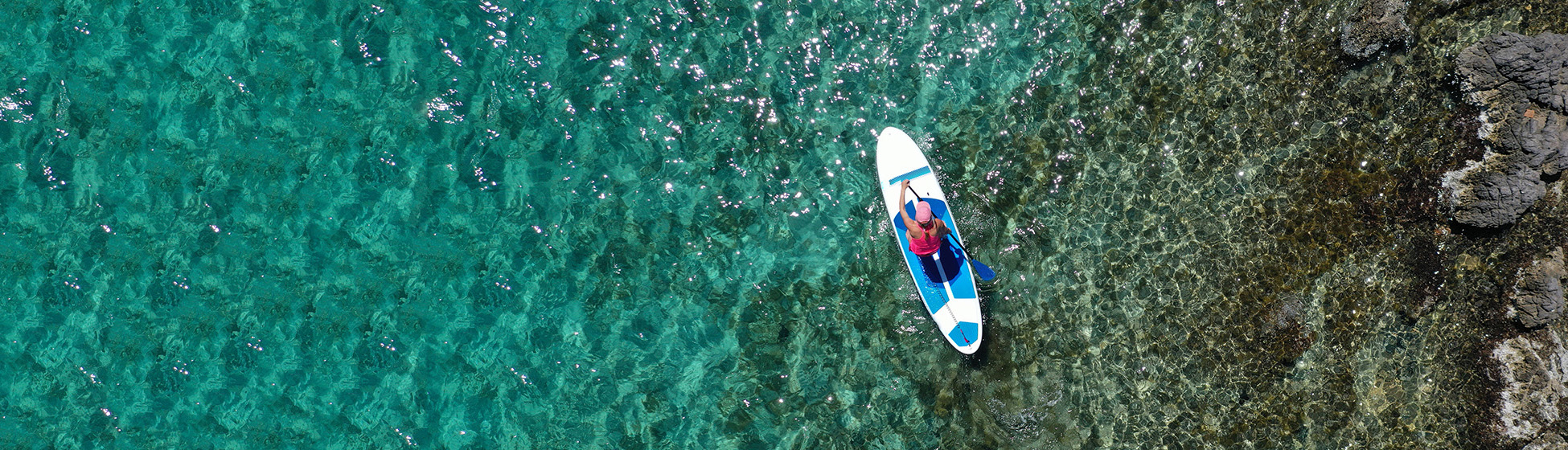 Excursion en mer martinique