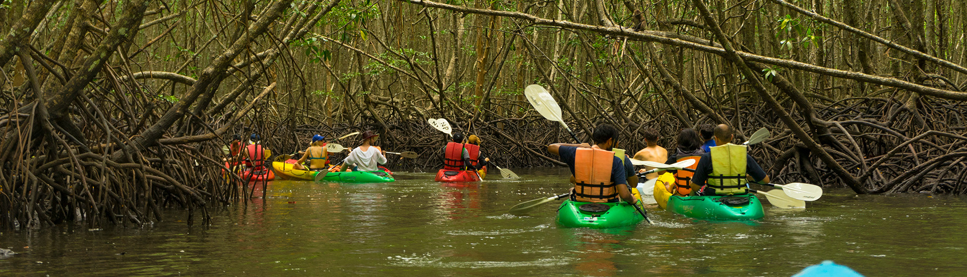 Balade en bateau martinique