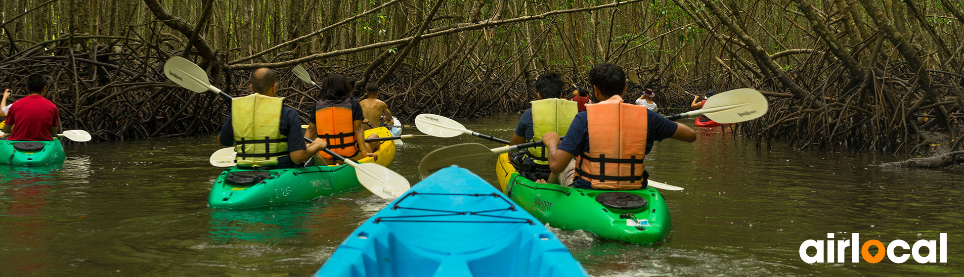 Excursion en mer martinique