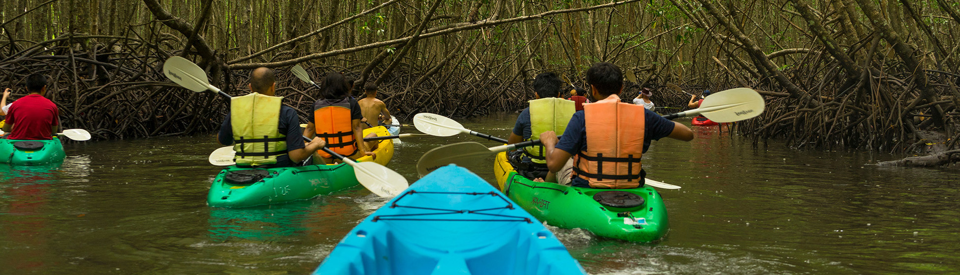 Prix location bateau martinique