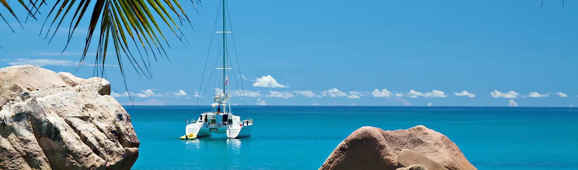 Privatisation catamaran martinique