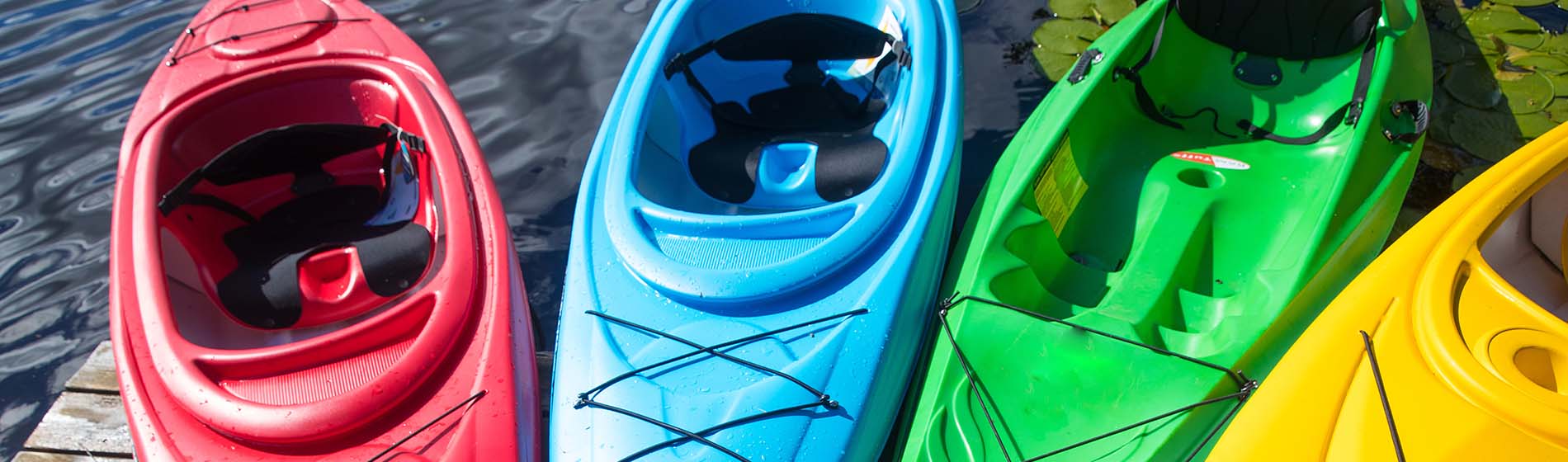 Kayak mangrove martinique Le Marin (97290)