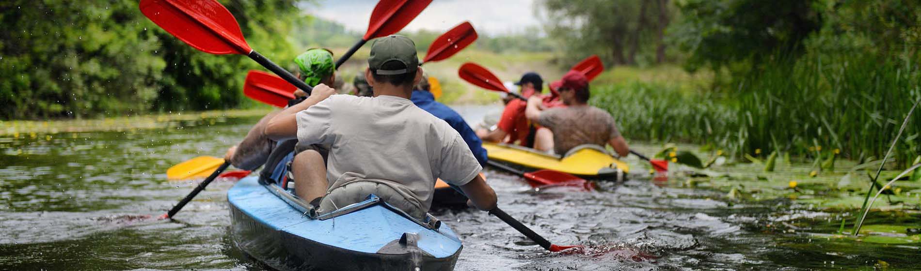 Kayak mangrove martinique