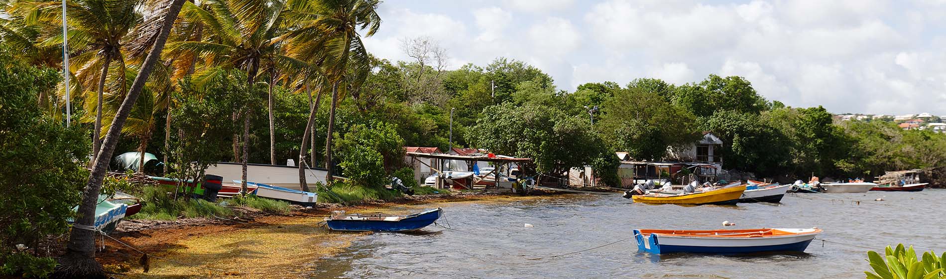 Peche dcp martinique