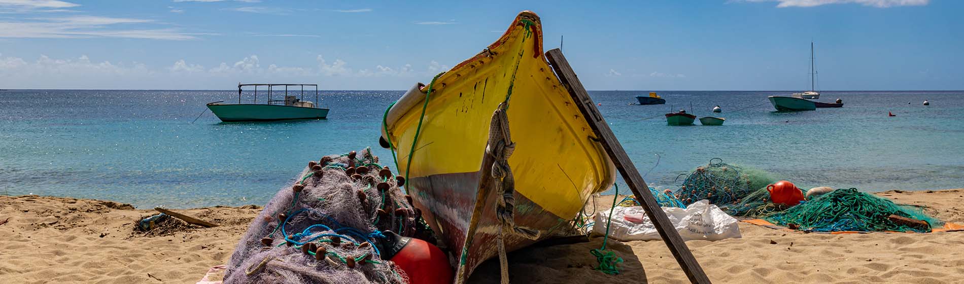 Peche dcp martinique