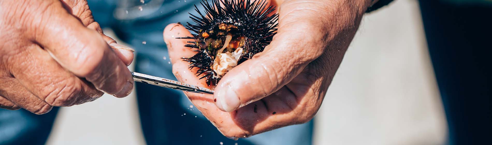 Peche sous marine martinique