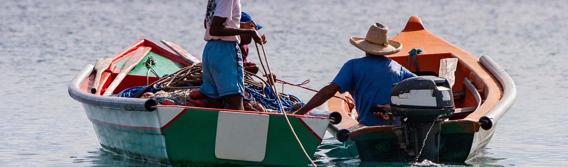 Peche espadon martinique