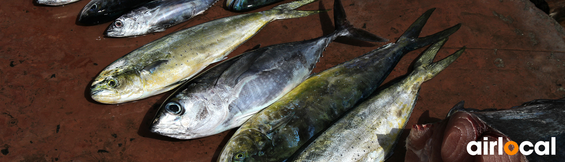 Poisson peche en martinique