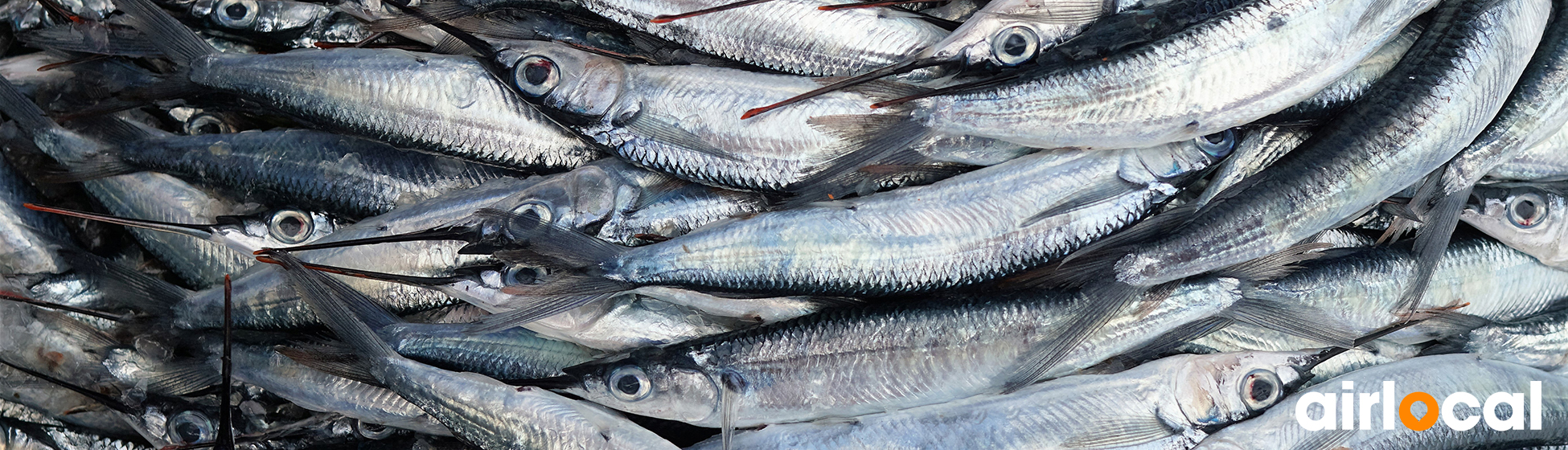 Poisson peche en martinique