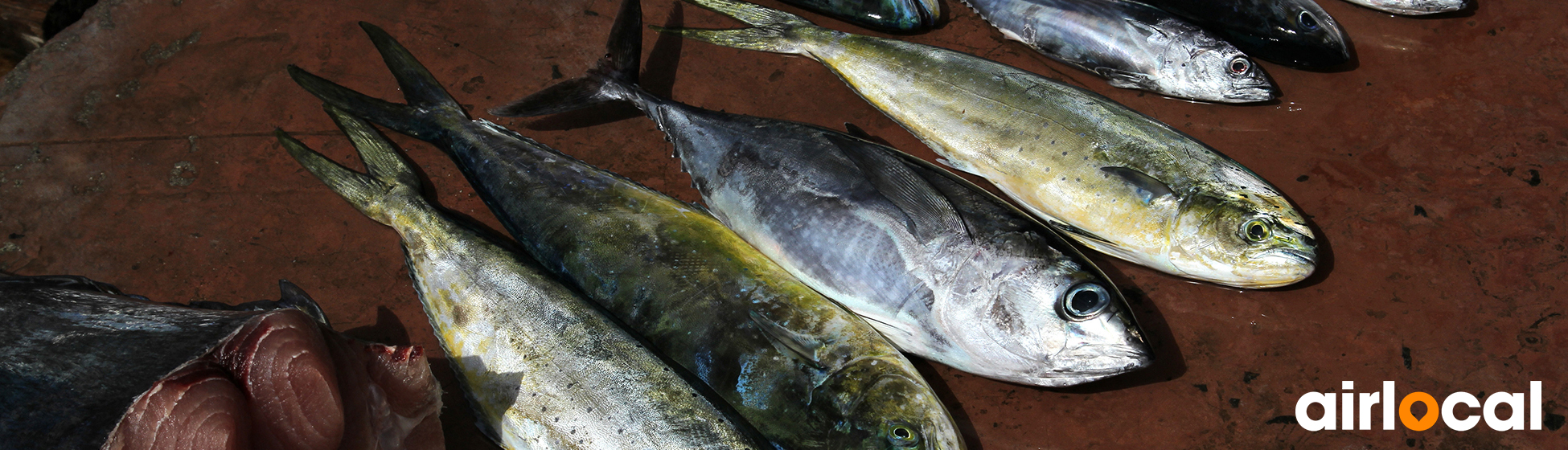 Coin peche martinique