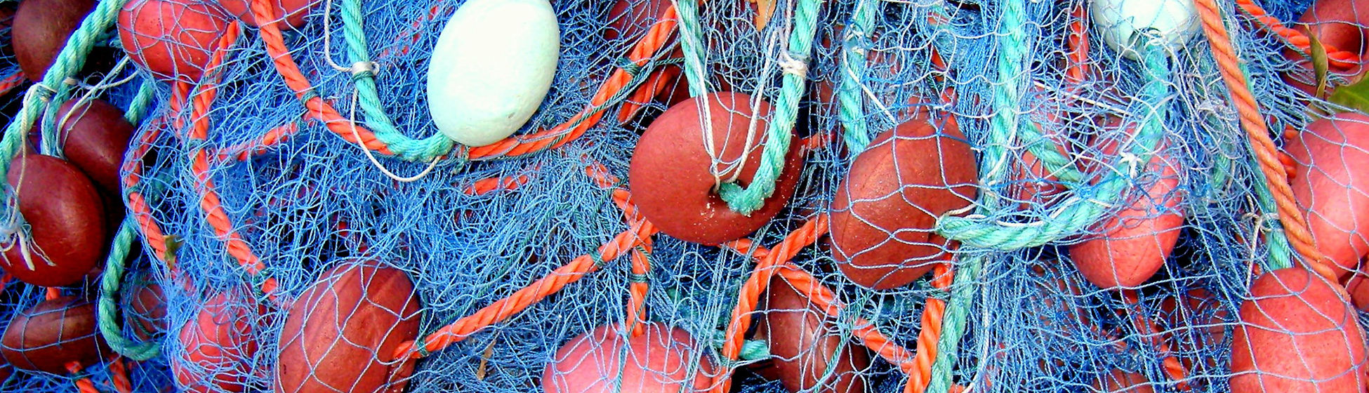 Poisson martinique pêche