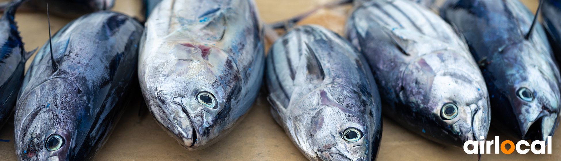 Peche tarpon martinique