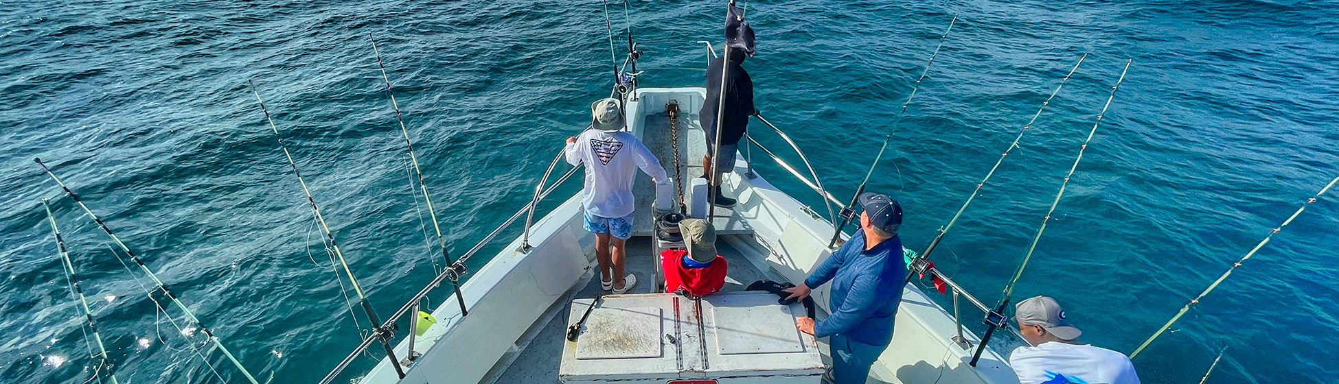 Pêche à la senne martinique