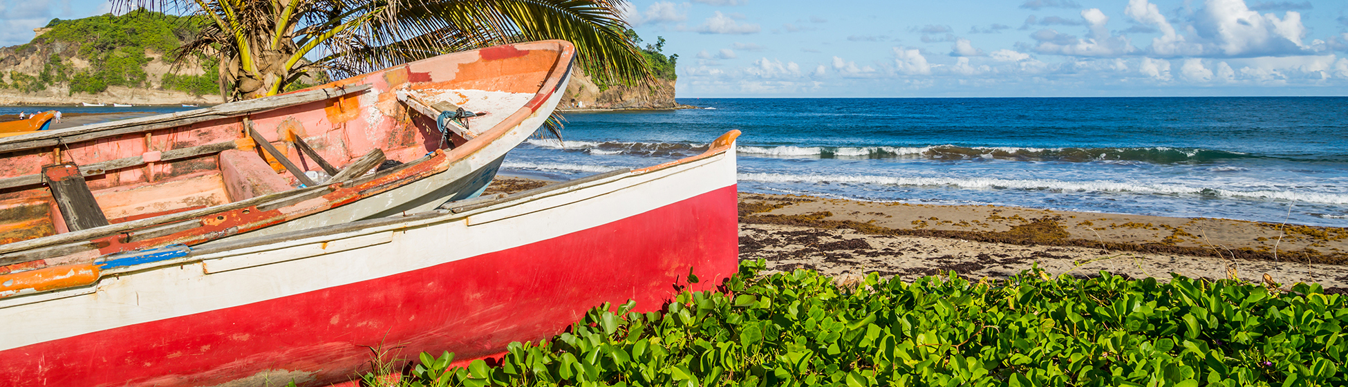 Peche du bord martinique