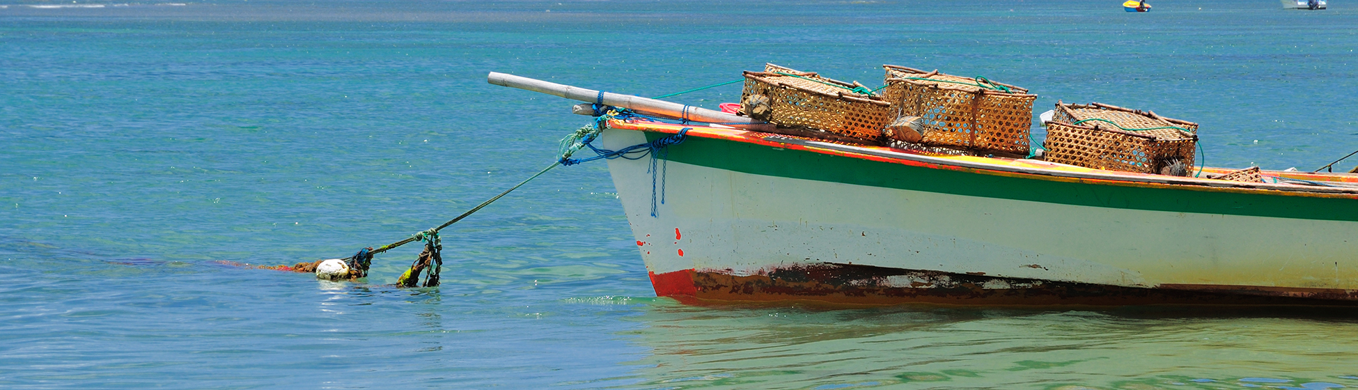 Guide peche martinique