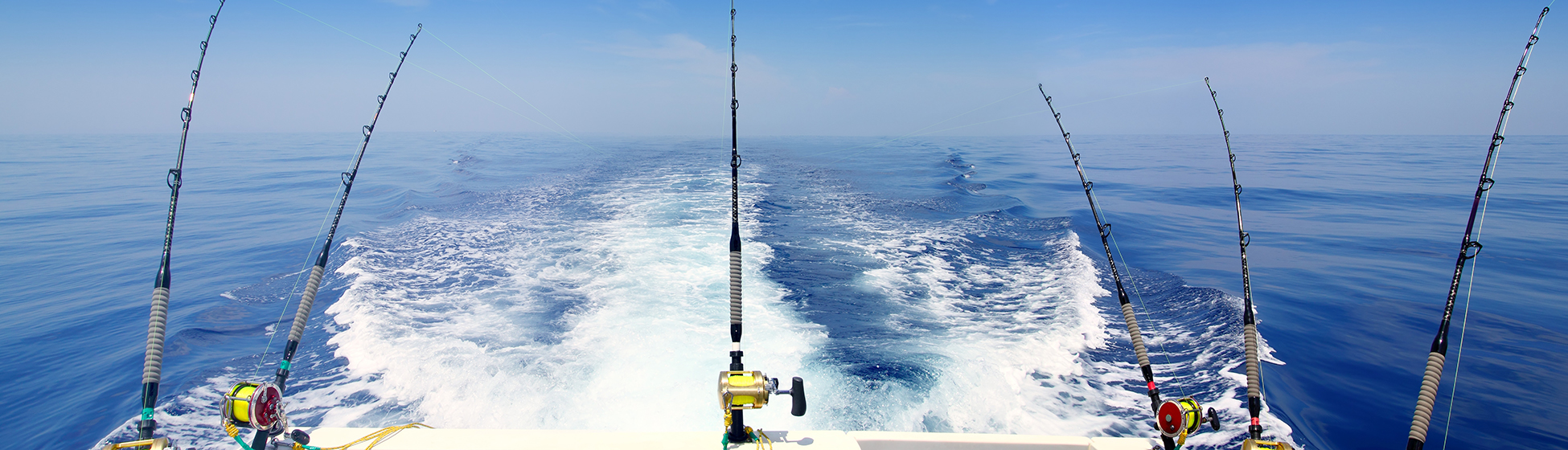 Pêche à la senne martinique