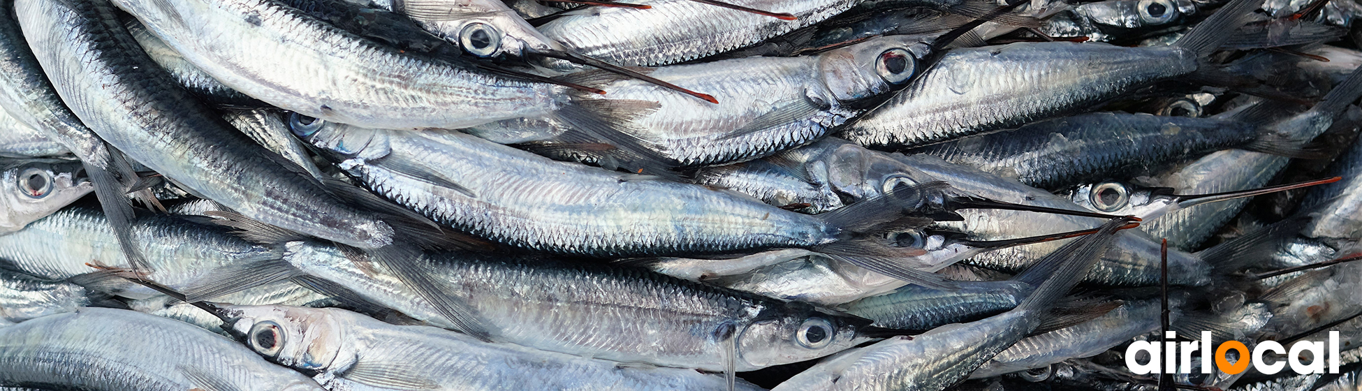 Poisson martinique pêche