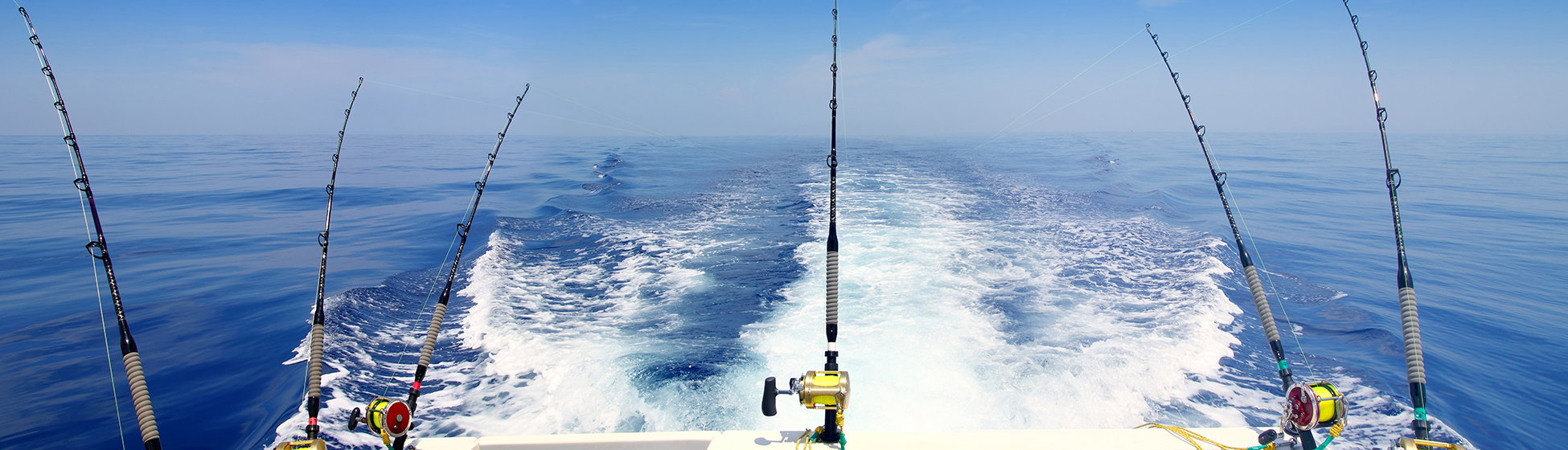 Pêche à la senne martinique