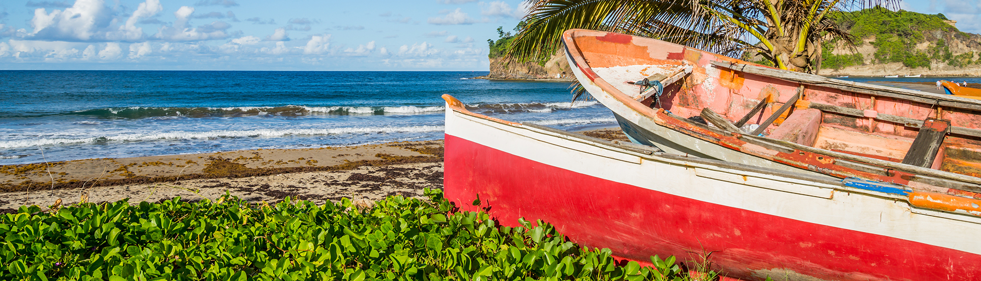 Pêche à la senne martinique