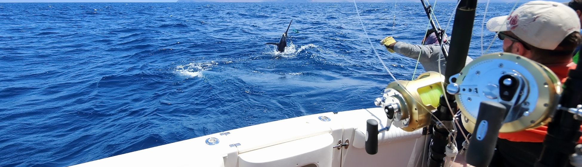 Sortie pêche martinique La Trinité (97220)