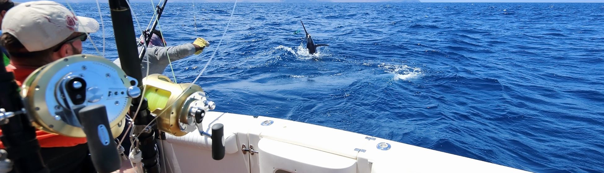 Pêche martinique du bord