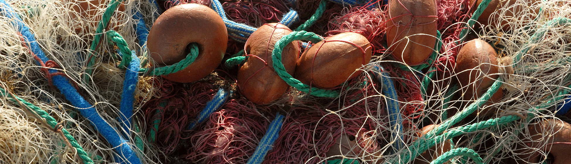 Poisson martinique pêche