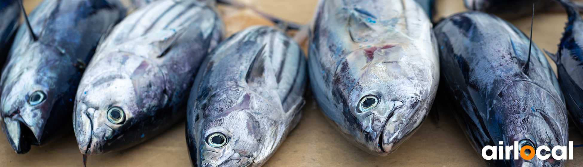 Poisson peche en martinique Saint-Pierre (97250)