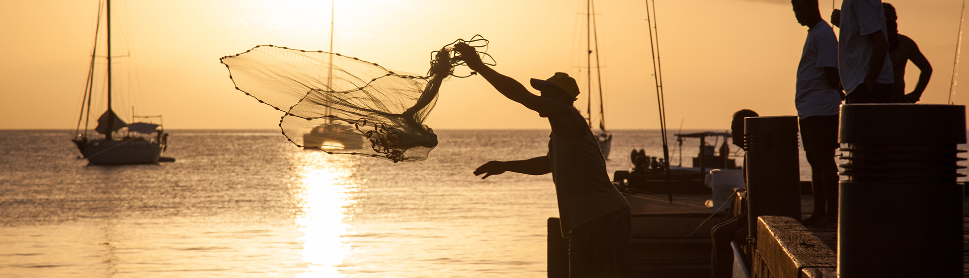 Pêche à la senne martinique