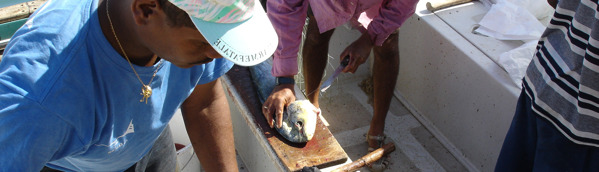 Guide peche martinique