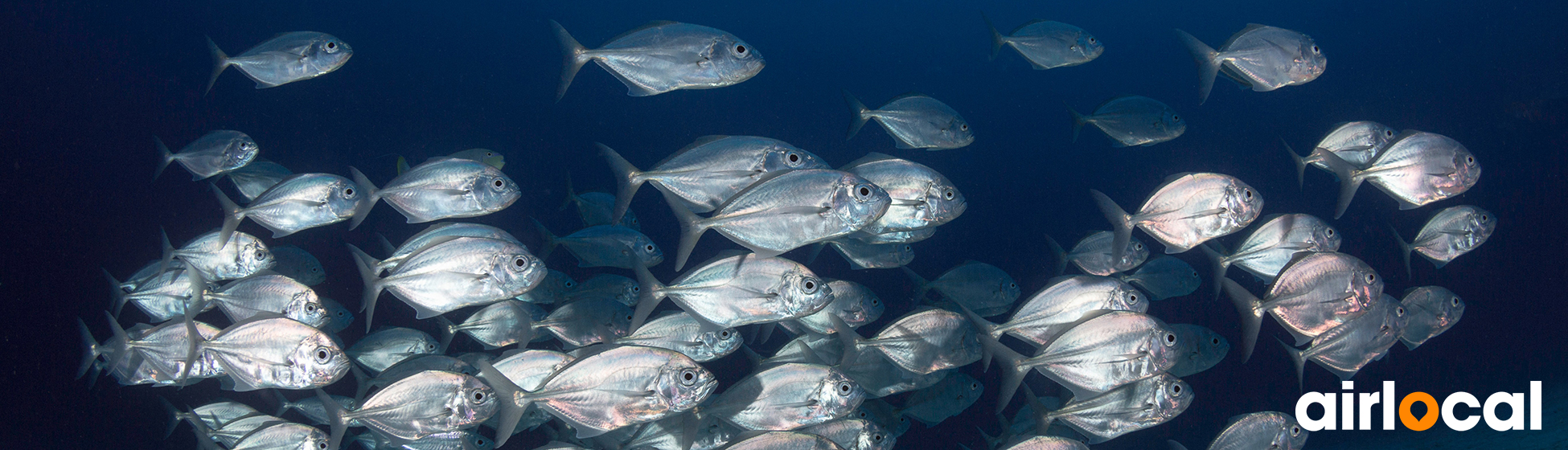 Sortie pêche martinique