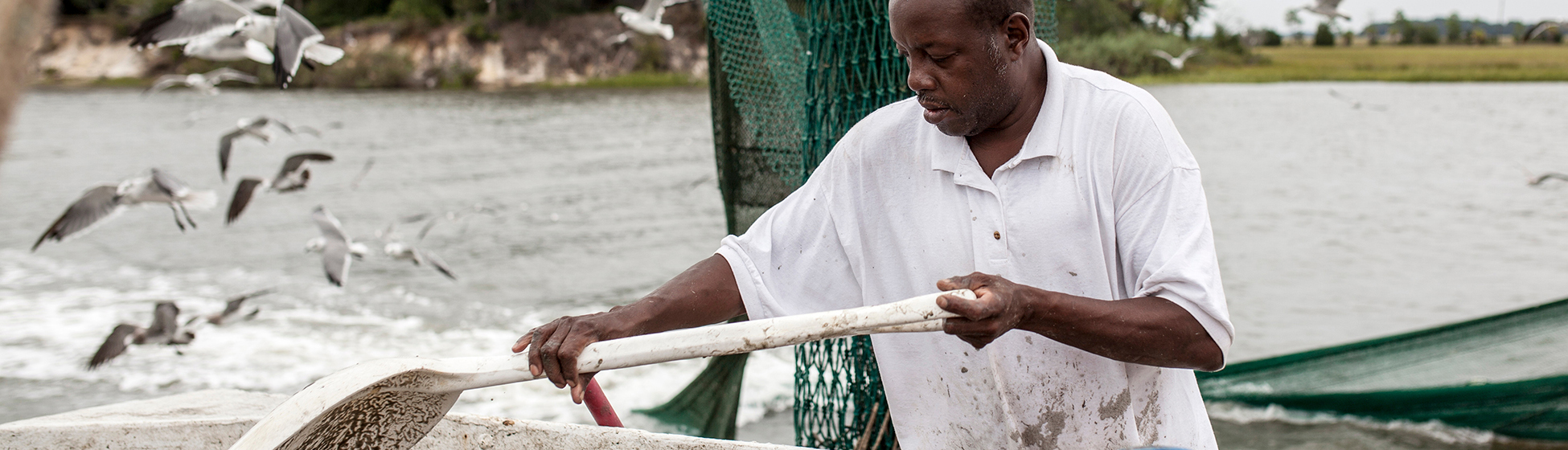 Poisson martinique pêche