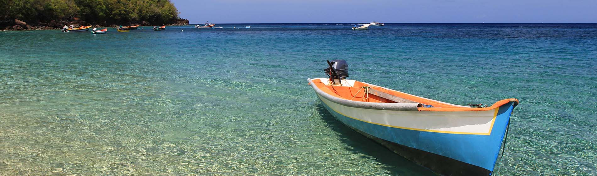 Peche a la senne martinique