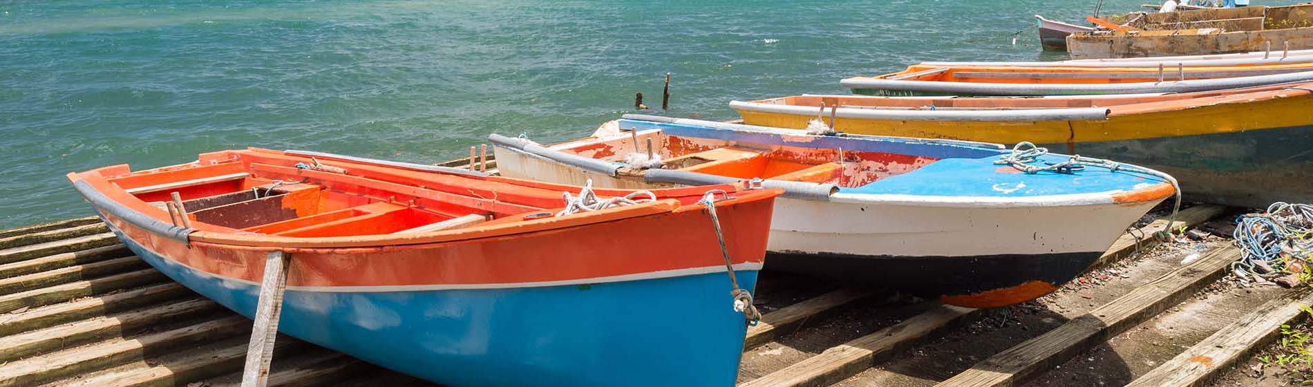 Peche a la senne martinique Sainte-Marie (97230)