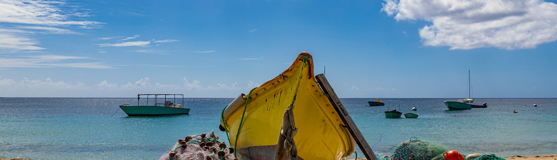 Plage sans sargasse martinique