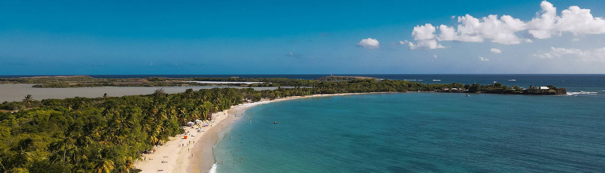 Plage tortue martinique