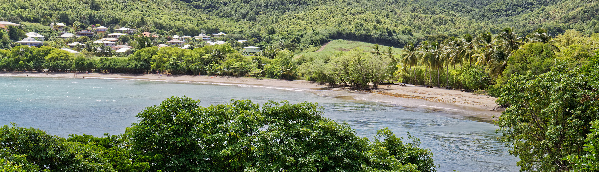 Paysage martinique plage