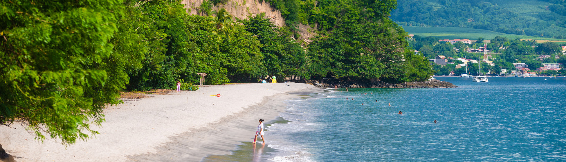 Plage tortue martinique