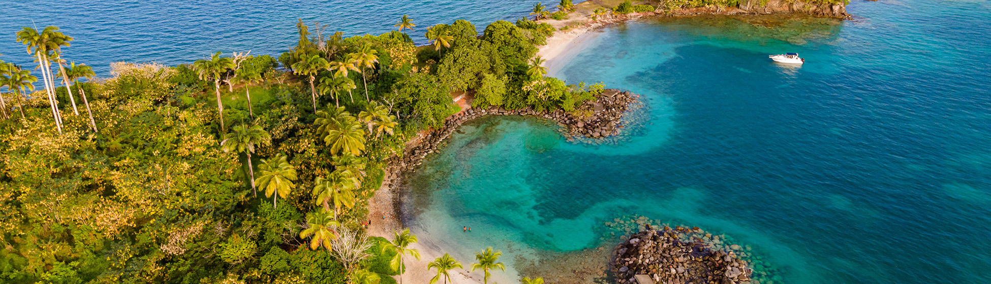 Plage saint anne martinique