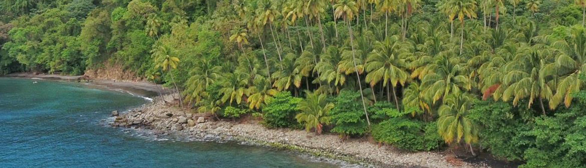 Plage naturiste martinique