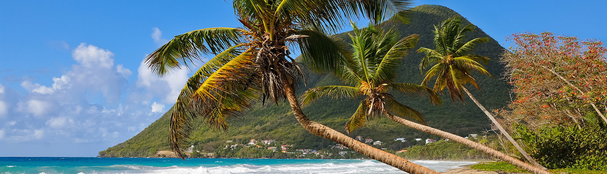 Plage sud martinique