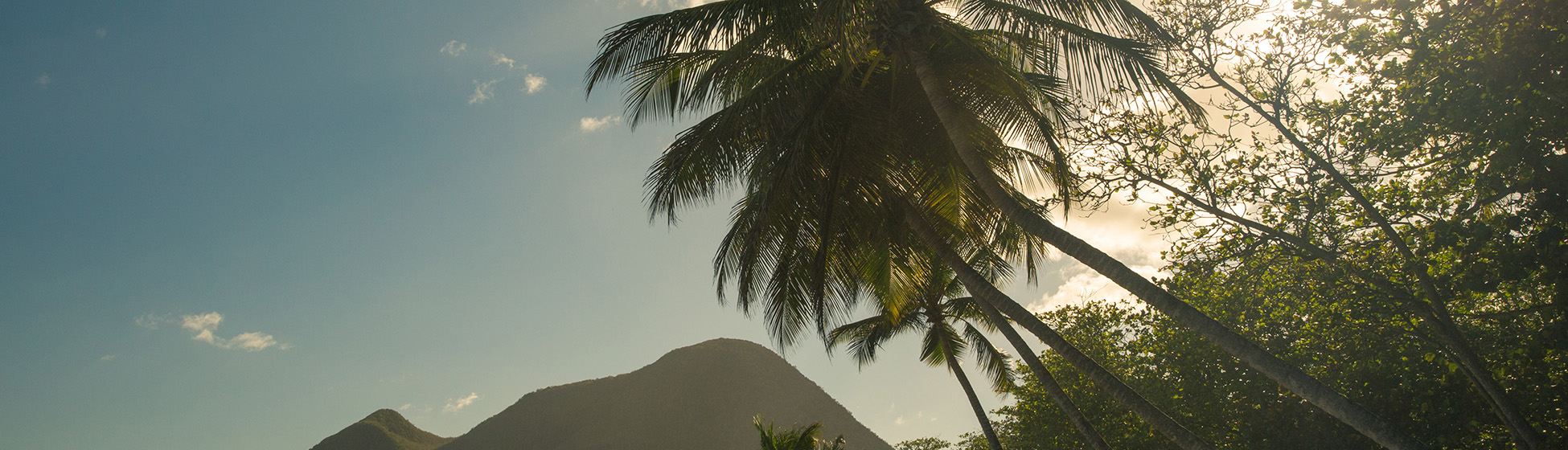 Plage pointe du bout martinique